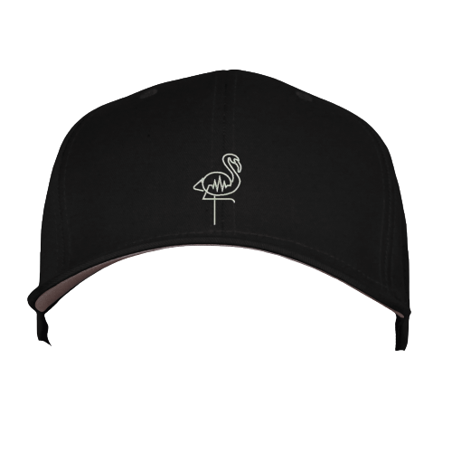 WG Logo Dad Hat